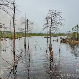 Photo #22 of Lobelia, Vass, NC