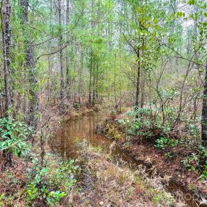 Photo #24 of Lobelia, Vass, NC