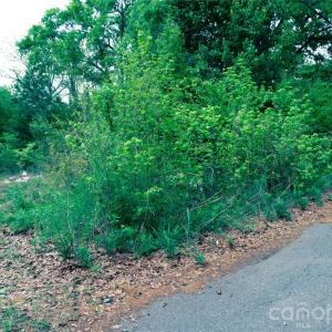 Photo #3 of 2133 Farlow, Rock Hill, SC