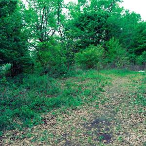 Photo #4 of 2133 Farlow, Rock Hill, SC