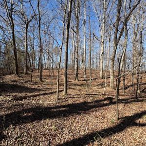 Photo #6 of 1417 Ellis Griffin, Wingate, NC