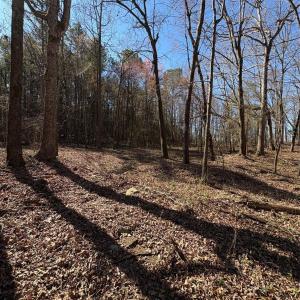 Photo #7 of 1417 Ellis Griffin, Wingate, NC