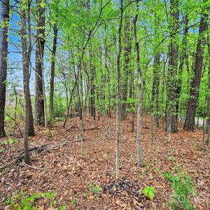 Photo #24 of Leewood, Monroe, NC