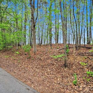 Photo #18 of Leewood, Monroe, NC