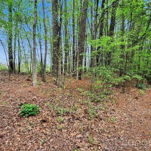 Photo #20 of Leewood, Monroe, NC