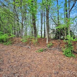 Photo #16 of Leewood, Monroe, NC