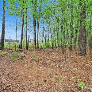 Photo #25 of Leewood, Monroe, NC