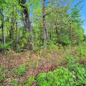 Photo #23 of Leewood, Monroe, NC