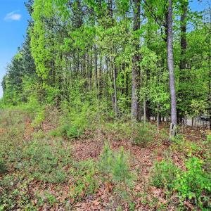 Photo #22 of Leewood, Monroe, NC