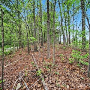 Photo #17 of Leewood, Monroe, NC