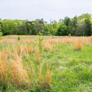 Photo #27 of US, Salisbury, NC