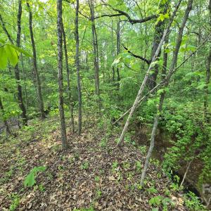 Photo #6 of NC 801, Mt Ulla, NC