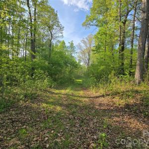 Photo #11 of NC 801, Mt Ulla, NC