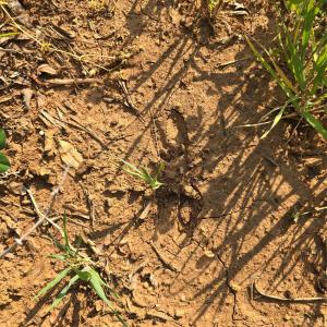 Photo #17 of NC 801, Mt Ulla, NC