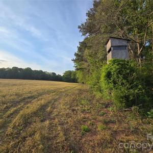 Photo #13 of Ketchie, Mt Ulla, NC