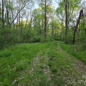 Photo #17 of Ketchie, Mt Ulla, NC