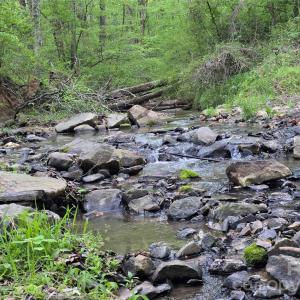 Photo #6 of Ketchie, Mt Ulla, NC