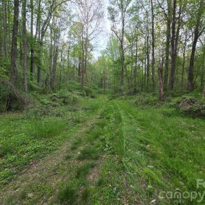 Photo #16 of Ketchie, Mt Ulla, NC