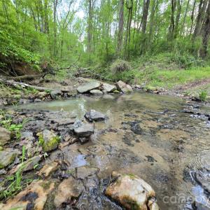 Photo #5 of Ketchie, Mt Ulla, NC