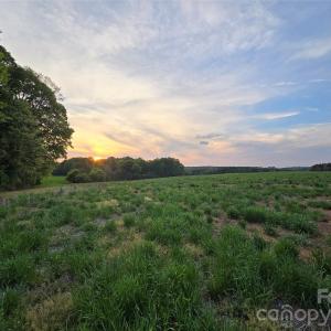 Photo #10 of Ketchie, Mt Ulla, NC