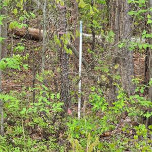 Photo #5 of 3121 Cold Springs, Concord, NC