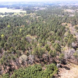 Photo #13 of 01 Collins Mountain, Chapel Hill, NC