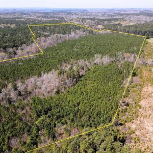 Photo #6 of 01 Collins Mountain, Chapel Hill, NC