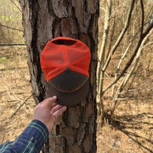 Photo #23 of 01 Collins Mountain, Chapel Hill, NC