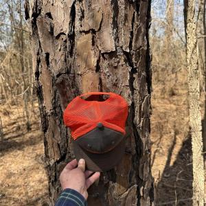 Photo #24 of 01 Collins Mountain, Chapel Hill, NC