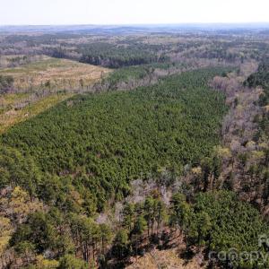 Photo #16 of 01 Collins Mountain, Chapel Hill, NC