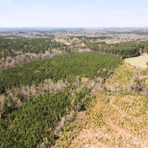 Photo #8 of 01 Collins Mountain, Chapel Hill, NC