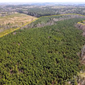 Photo #12 of 01 Collins Mountain, Chapel Hill, NC