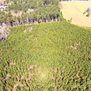 Photo #10 of 01 Collins Mountain, Chapel Hill, NC