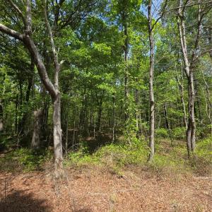 Photo #4 of Lot 5 Wolf Pond, Monroe, NC