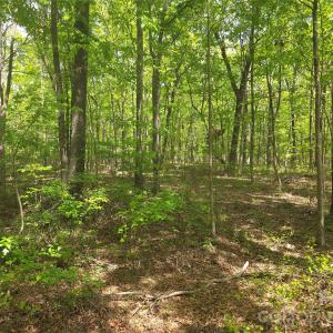 Photo #8 of Lot 5 Wolf Pond, Monroe, NC