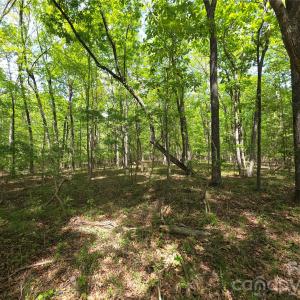 Photo #6 of Lot 5 Wolf Pond, Monroe, NC