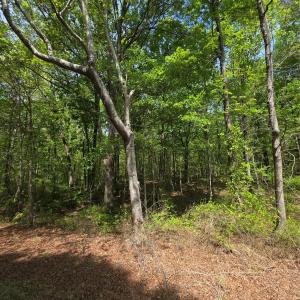 Photo #3 of Lot 5 Wolf Pond, Monroe, NC