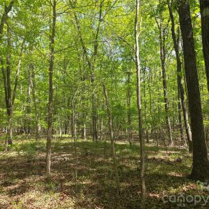 Photo #2 of Lot 5 Wolf Pond, Monroe, NC