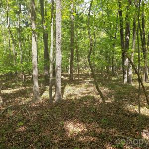 Photo #5 of Lot 5 Wolf Pond, Monroe, NC