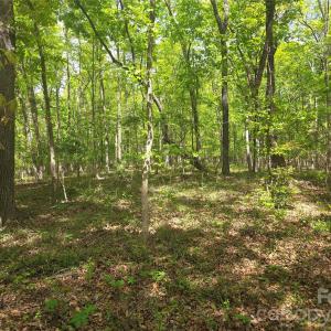 Photo #7 of Lot 5 Wolf Pond, Monroe, NC