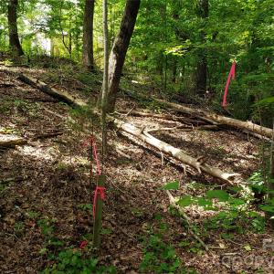 Photo #20 of 952 Oak, Rock Hill, SC