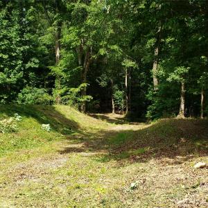 Photo #13 of 952 Oak, Rock Hill, SC