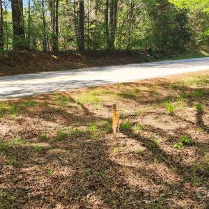 Photo #40 of 952 Oak, Rock Hill, SC