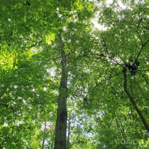 Photo #17 of 952 Oak, Rock Hill, SC