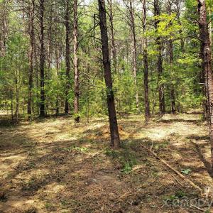 Photo #28 of 952 Oak, Rock Hill, SC