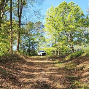 Photo #14 of 952 Oak, Rock Hill, SC