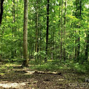 Photo #27 of 952 Oak, Rock Hill, SC