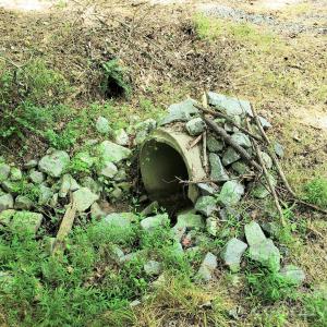 Photo #25 of 952 Oak, Rock Hill, SC