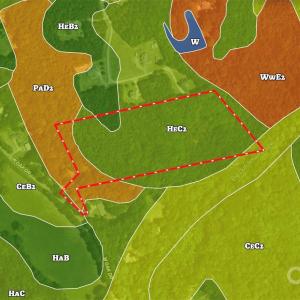 Photo #45 of 952 Oak, Rock Hill, SC