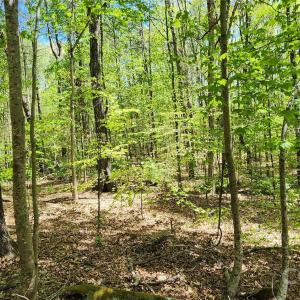 Photo #32 of 952 Oak, Rock Hill, SC